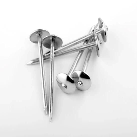 South Africaangola Zambia Namibia Market/Umbrella Head Roofing Twist Nails Galvanize Umbrella Head Roofing Nails