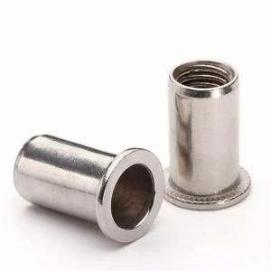 China Professional Manufacturer Supply Blind Rivet Nut