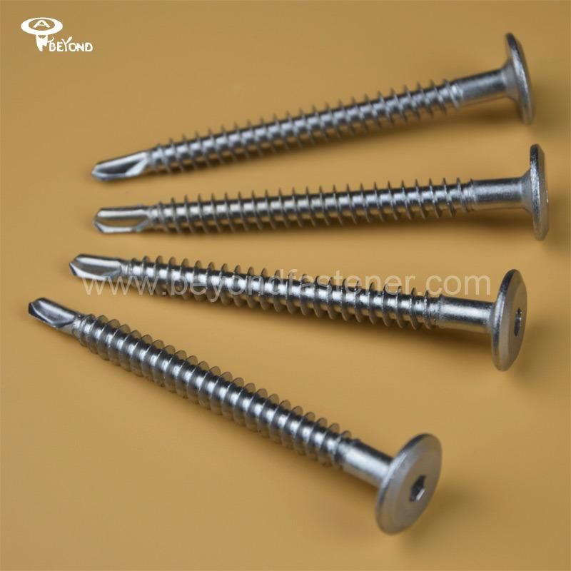 Screw/Self Tapping Screw/Fasteners/Bolts