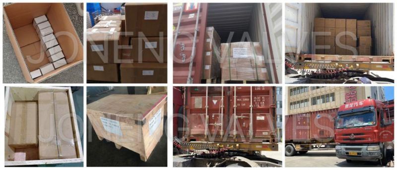 Stainless Steel Thread/Clamp Hose Ferrule Pipe Adapter