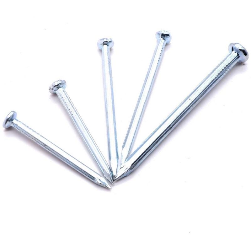 Construction Steel Big Size Nails Concrete Nail Sizes 25 mm