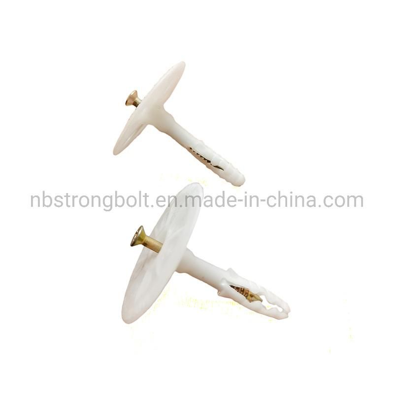 Plastic Insulation Fixing Nail/ Insulation Nail/ Insulation Anchors/Heat Preservation Nail