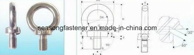 Forged Eye Bolt / Eyebolt (DIN580)