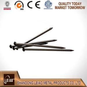Polished Common Iron Nails Made in China