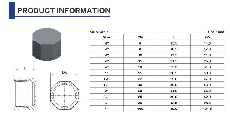 Stainless Steel Female Connector Plumb End Hex Cap Pipe Fitting
