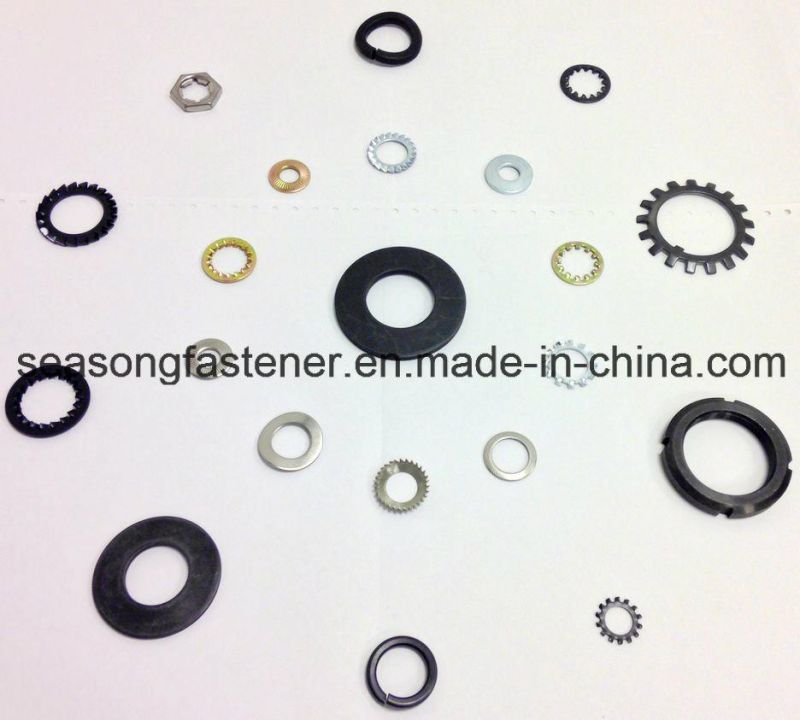 Stainless Steel Spring Washer / Concial Spring Washer (DIN 6796)