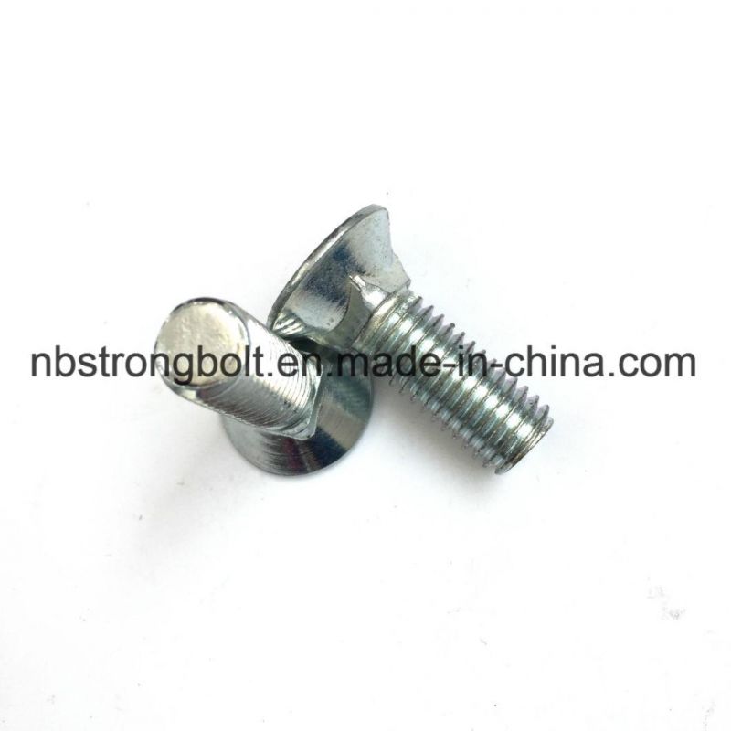 Flat Head Square Neck Screw with White Zinc Plated/Customized Flat Head Screw