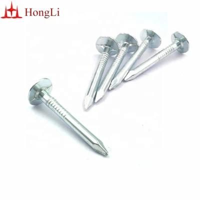 1&quot;*11g Big Head Electro Galvanized Roofing Nails for Us Market