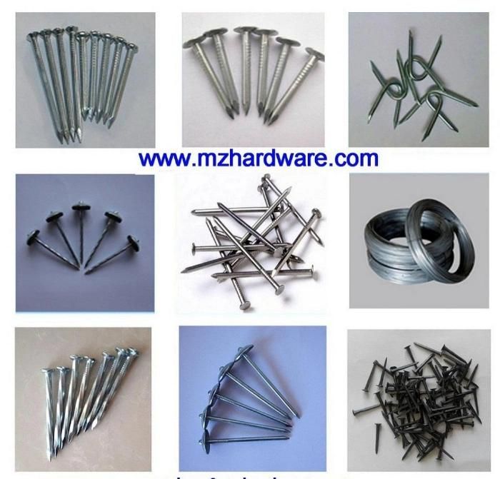 Hot Selling Umbrella Head Plain Shank Roofing Nail (ADS-RN-1)