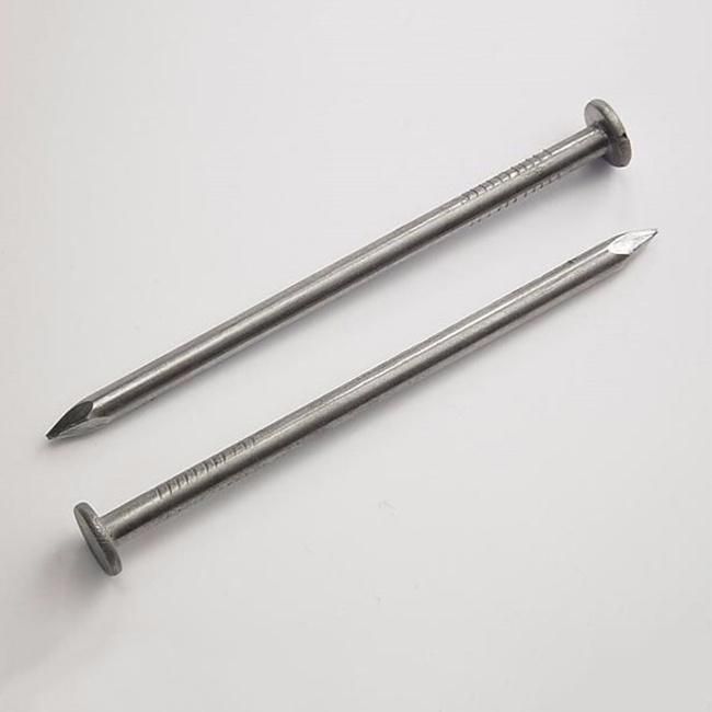 Common Nails /Iron Nails /Factory Cheap Price