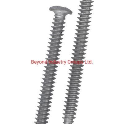 Screw Manufacturer From China