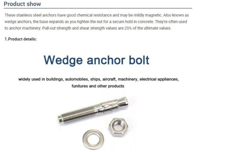 China Factory Manufacturing High Quality Stainless Steel and Carbon Steel Expansion Wedge Bolt Anchor with ISO Certificate and Reasonable Price