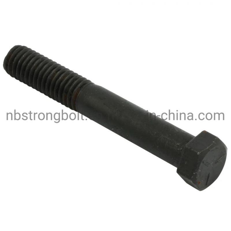 SAE J 429 Hex Head Cap Screw with Black From China