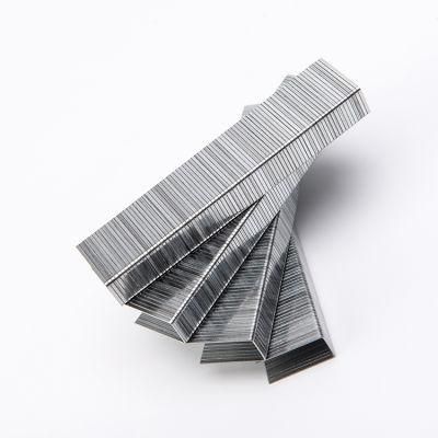 Top Grade 20ga Stainless Steel 10j Crown Staples 1010j with Low Price