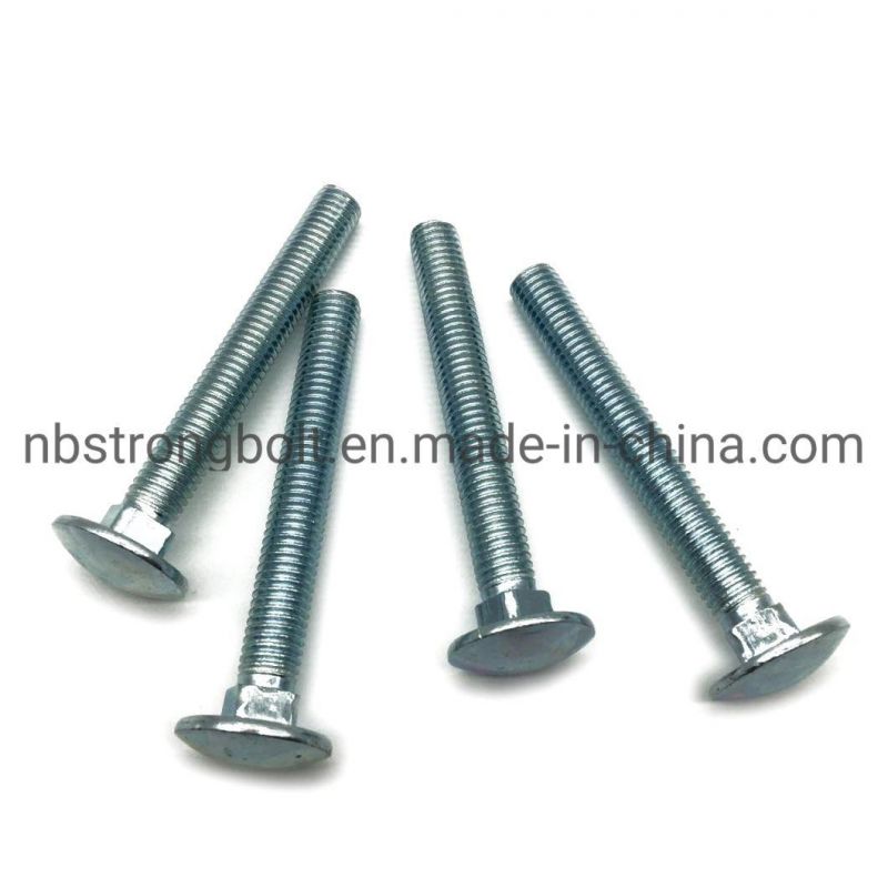 DIN603 Round Head Square Neck Bolt More Than 10 Years Produce Expricence Factory