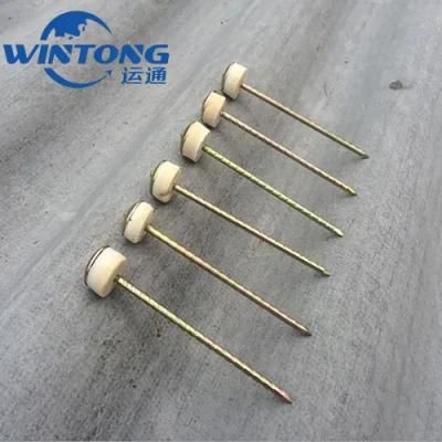Galvanized Concrete Roofing Nails Wire Nail with High Quality and Competition Price Stainless Steel Nails in China
