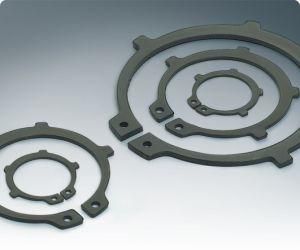 Circlip&amp; Retaining Ring (DIN471/DIN472/DIN6799)