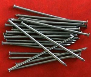 Common Iron Wire Nail in Good Quality