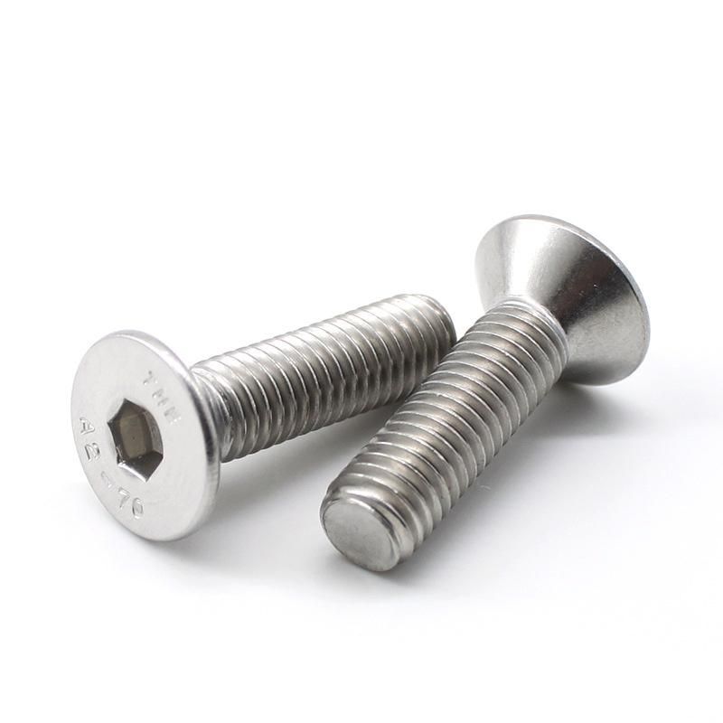 Stainless Steel Cross Recessed /Hex Socket/Csk Head Machine Screws