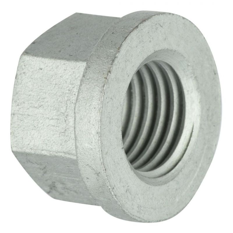 M6-M64 Black Coating Hex Flange Nut, Flange Nut with Shoulder