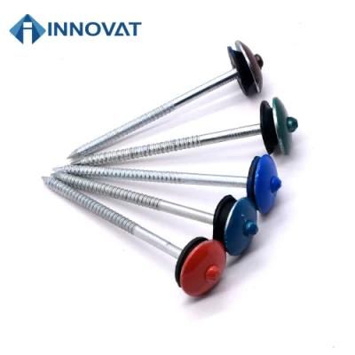 Umbrella Head Roofing Nails/Iron Nail/Steel Nail/Coil Nail/Galvanized Roofing Nail