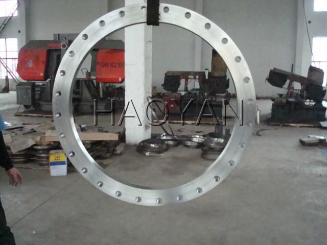 Forged/Forging Flange Which Is Besed Customized