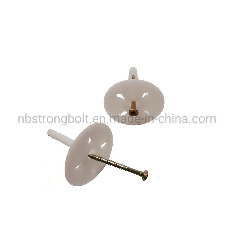 Plastic Insulation Fixing Nail/ Insulation Nail/ Insulation Anchors/Heat Preservation Nail