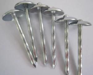 Galvanized Umbrella Head Roofing Nail