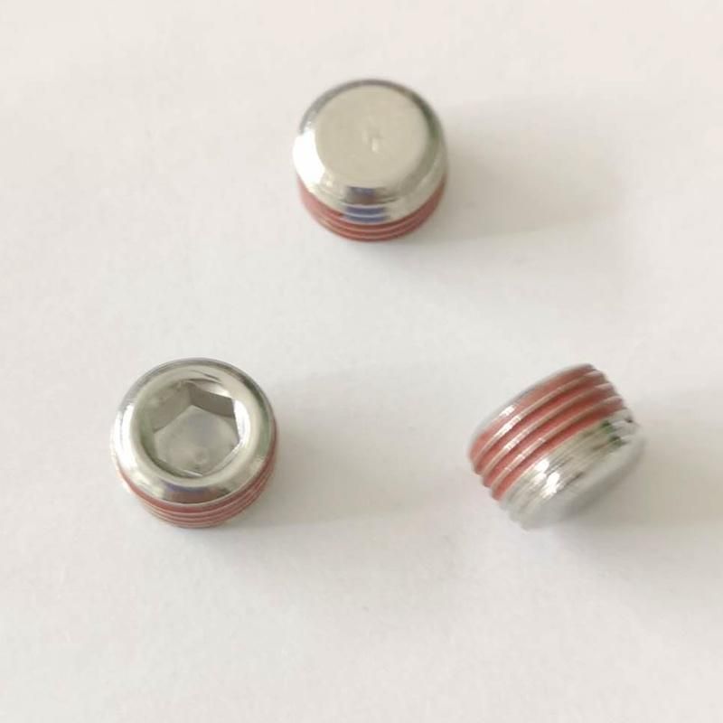 Ss 304 or 316 1/8-27 Nptf Plug for Diff Cover with Liquid Raw Material Belt