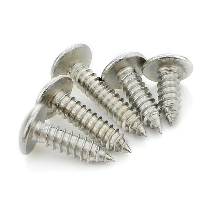 Silver Bronze Brass Black Self Tapping Screws