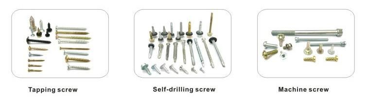 4.2X70mm Fine Thread Phillips Bugle Head Drywall Screws White and Yellow Zinc Plated Drywall Screws