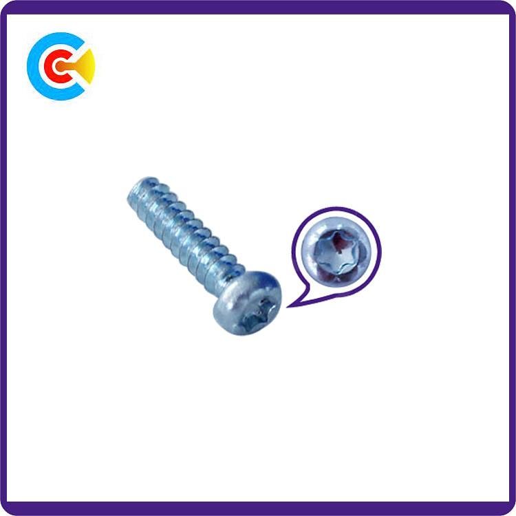 Stainless Steel Torx Pan Head Galvanized Concrete Screw