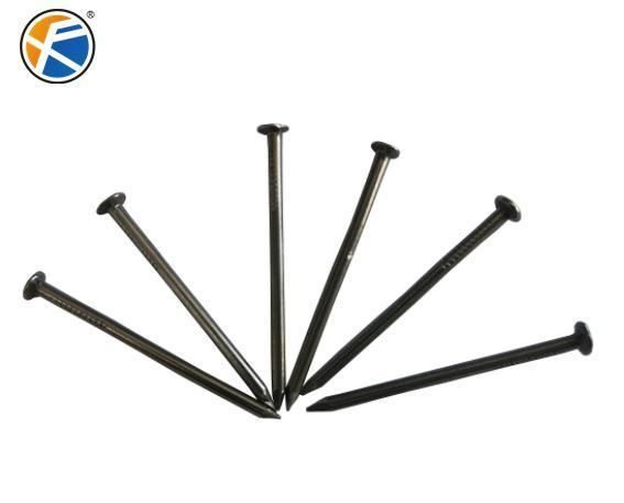 Nail Wire Nails Polished Nail Galvanized Iron Nails