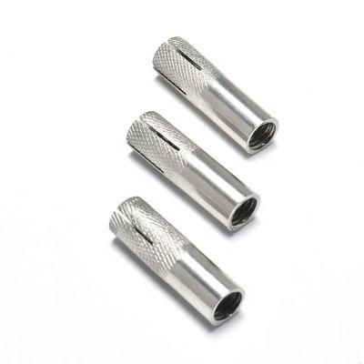 SS304 SS316 M6 M8 M10 M12 Expansion Wedge Sleeve Bolt Drop in Anchor