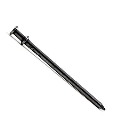 Galvanized Iron Nails Double Head Nails Wholesale in Guangzhou