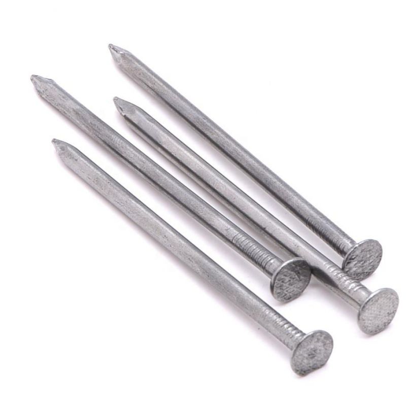 Best Quality Common Nail/Hot Dipped Nail