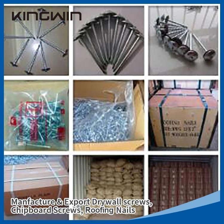 China Wholesale Galvanized Smooth / Twisted Shank 9bwg X 2.5"10bwg X 2" 12bwg 7lbs 8boxes 3.125kg / Box Umbrella Head Roofing Nails