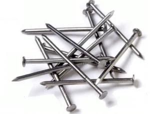 Common Iron Wire Nail with High Quanlity on Best Price