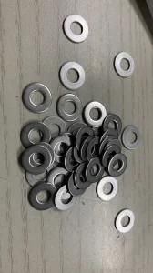 Stainless Steel Washer for #10 Screw