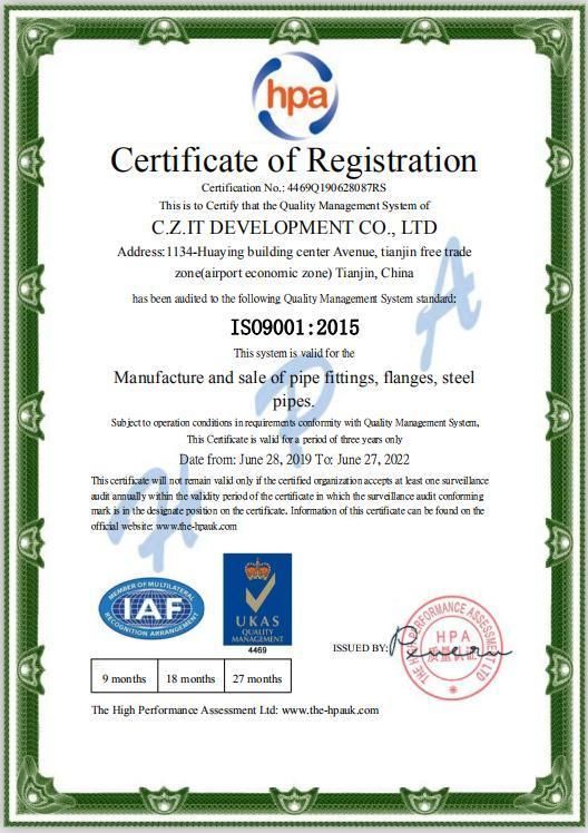 En1092 RF Forged Welding Neck Flange/Pn 16 DN 65