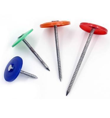 1&quot;*12g Grip-Cap 3000PCS Bucket Electro Galvanized Ring Shank Plastic Cap Roofing Nail for Us and Canada Market