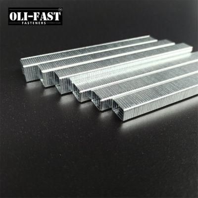 20ga 140 Series Upholstery Staples 6mm Tacker Clips