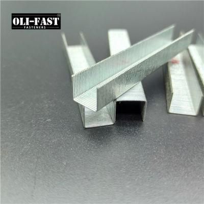 22ga 53/08 Series Galvanized Staples Factory Supply