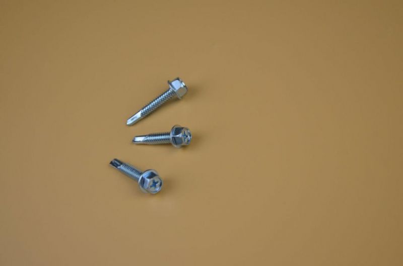 Special Screw/Screw/Fastener/Bolts