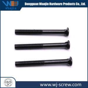 Hex Bolt /Flange Bolt/ Carriage Bolt/Anchor Bolt