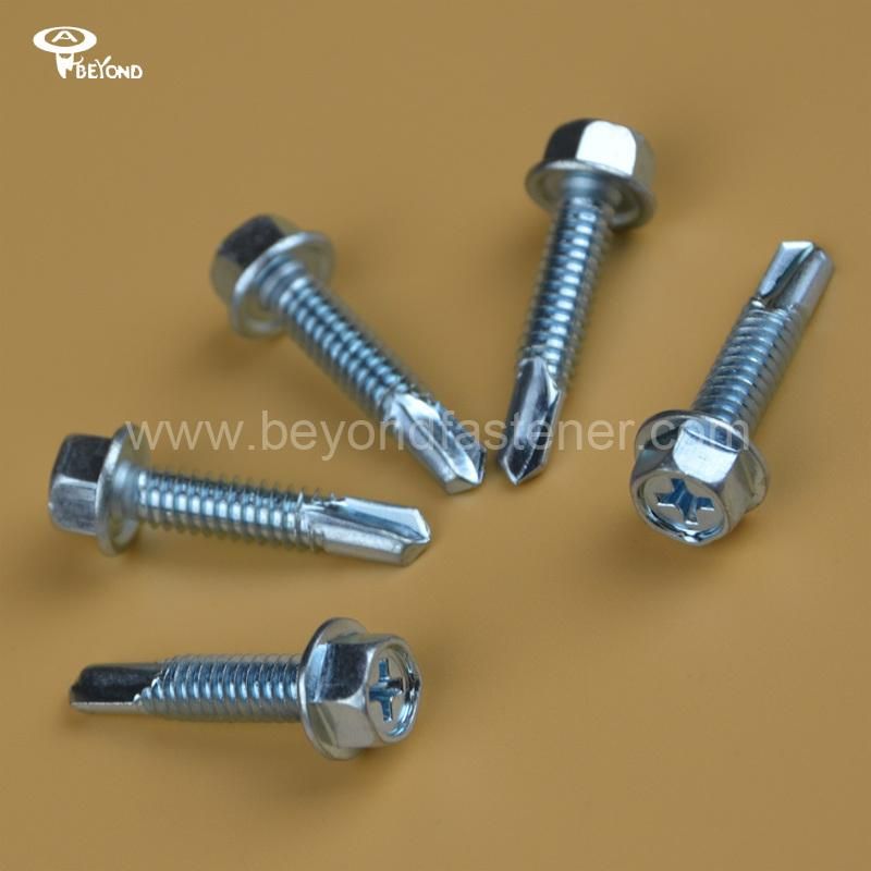 Socket Cap Screw/Self Drilling Screw/Bolts/Self Tapping Screw
