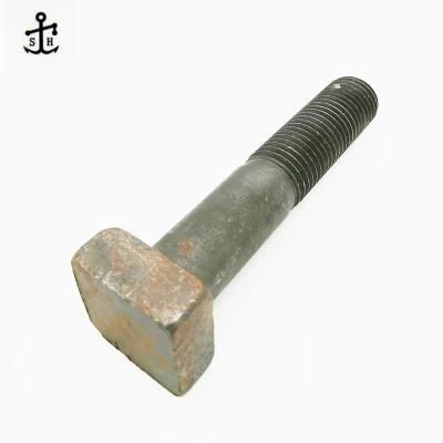 High Strength Alloy Steel 304 Square Head Bolt M6-M30 Made in China