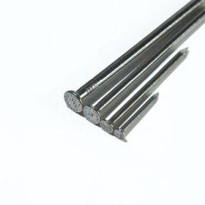 Wholesale Factory Price Galvanized Steel Common Polished Wire Iron Nails