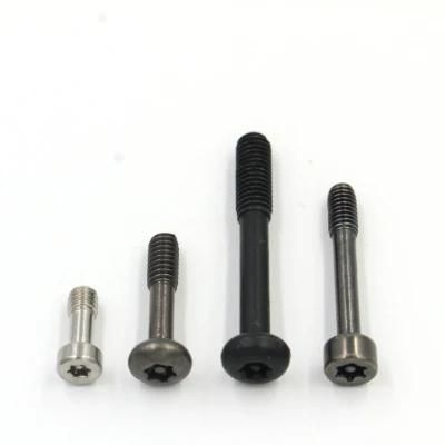 Custom Pan Head/Cap Head Six Lobe Antitheft Screw with All Kind Materials