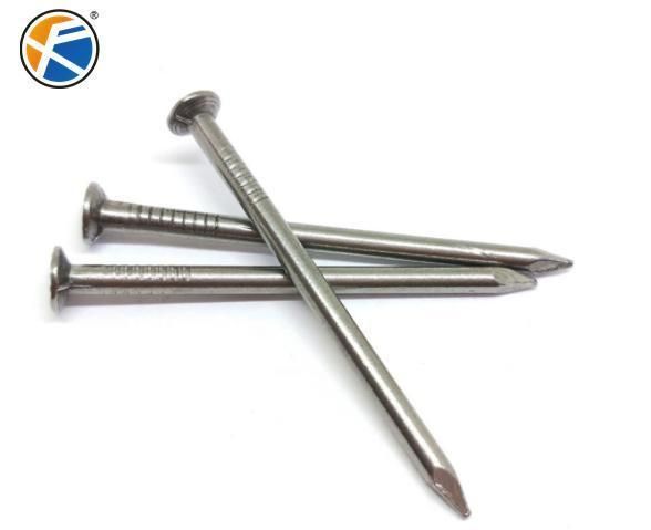 Nail Wire Nails Polished Nail Galvanized Iron Nails
